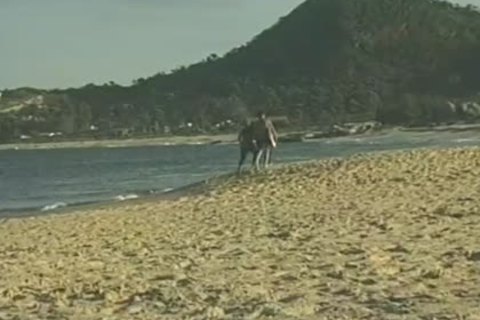 Beach Side males engulfing cock And fucking