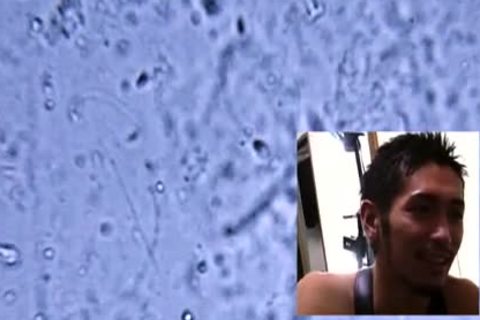 [bravo] Wildest large cock Legend - Koh two