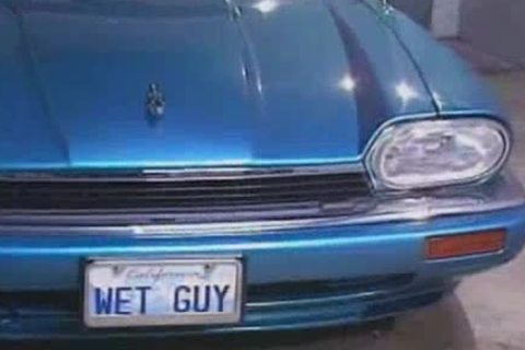 Tom Katt acquires nailed By Max