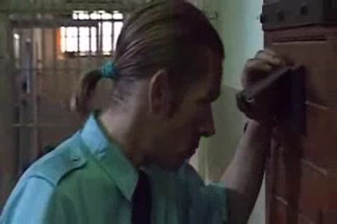 Prison Sex