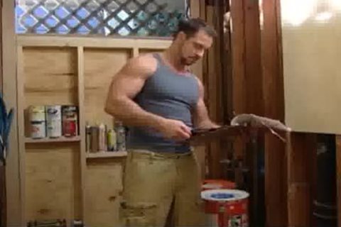Pornstars plow