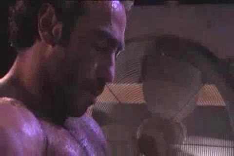 Huessein, Piero Sias, Shane Alexander