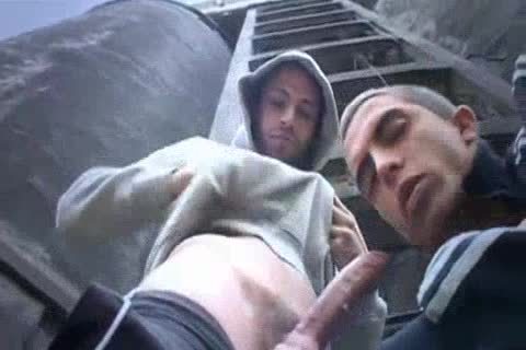 young , Hung, Full Of spooge