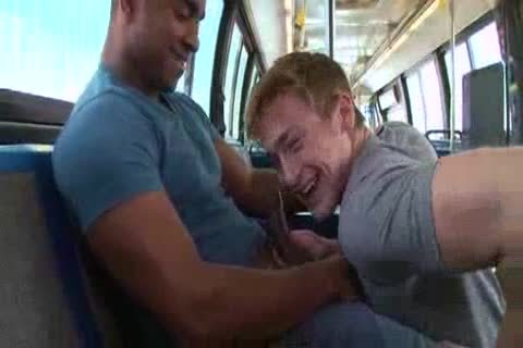 Interracial pound On Bus