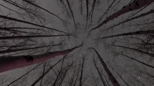 Stranded - Damien Stone with Jack Hunter ass screw