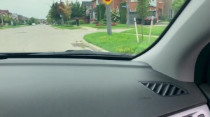 Pranksters - Dante Colle and Kit Cohen butt Love