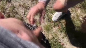 males In Public 5 – Hike - a bit of butthole