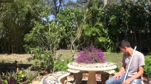 Doing Drake - amateur poke