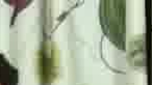 Sucked Down - amateur Hook up