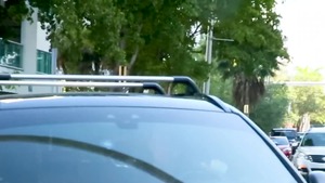 The Driver - Diego Sans & Damon Heart pooper Love