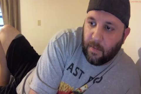 Bear 2