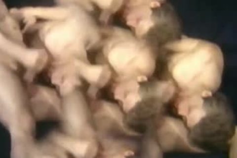 Dormitory Daze (1982)