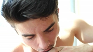 Elevated, Shadowy & Craving